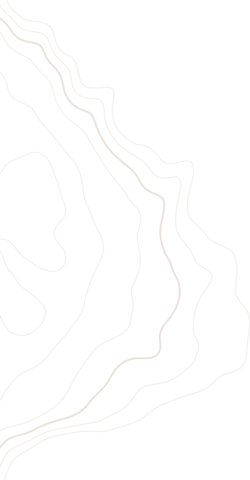 decorative topographic map background